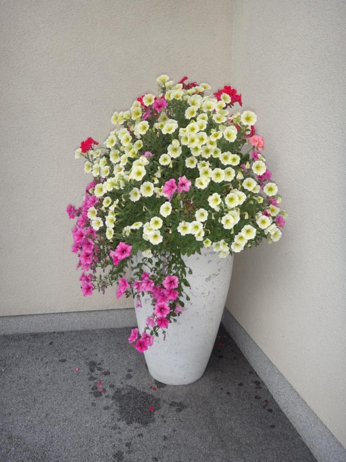 Fritzenwallner * Wagrain